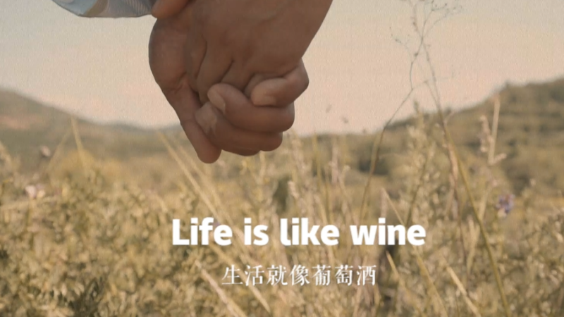 Grapes of hope: a woman's journey out of poverty in northwest China 