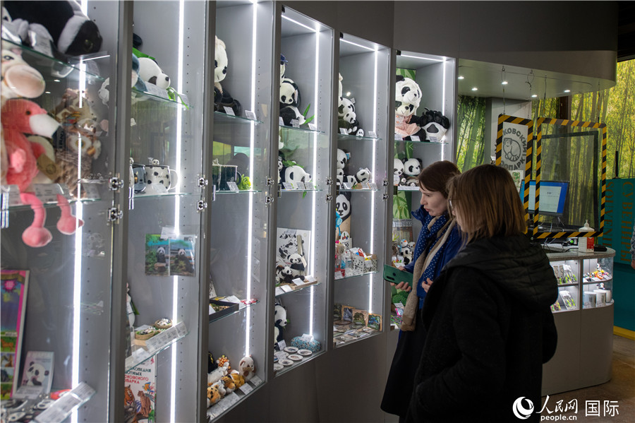 Cute giant pandas at Moscow Zoo attract tourists