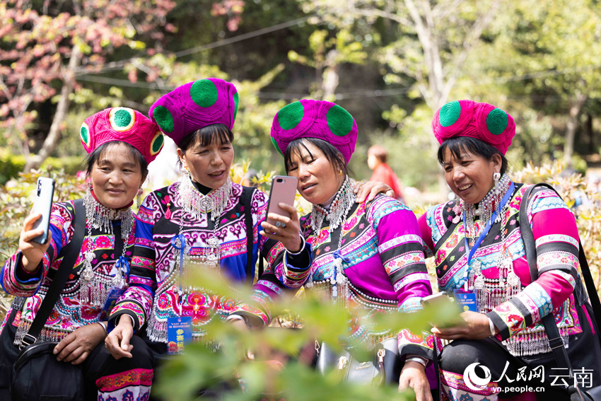 Peony cultural tourism festival kicks off in Wuding, SW China’s Yunnan