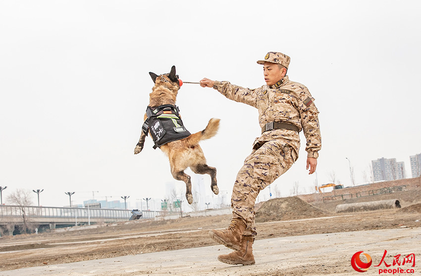 In pics: police dogs undergo various training programs in NW China's Xinjiang