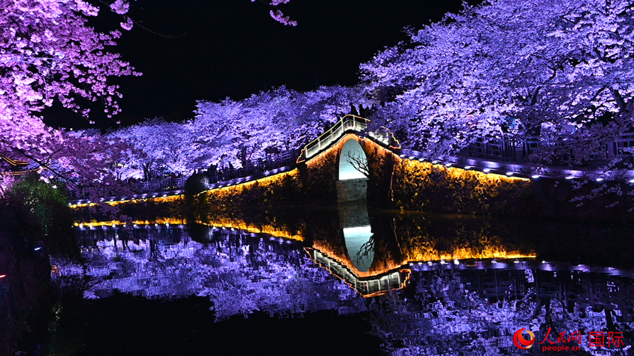 Cherry blossoms in E China’s Wuxi attract throngs of tourists