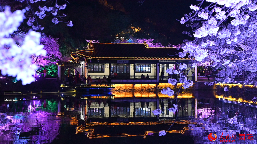 Cherry blossoms in E China’s Wuxi attract throngs of tourists