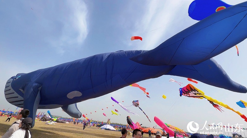 People fly kites during 40th Weifang Int'l Kite Festival