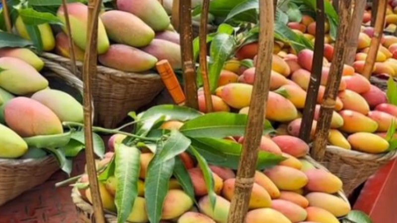 Have you been to a fruit market in Yunnan?