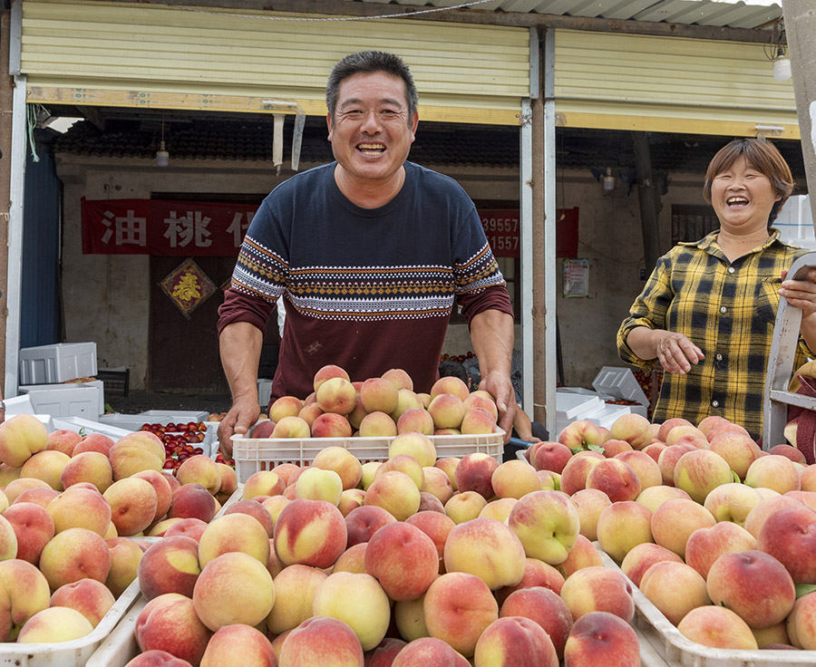 Peach harvest in Dangshan, E China's Anhui