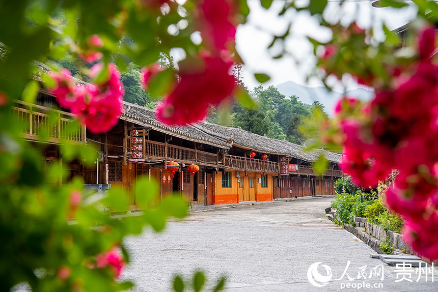 Traditional mountainous village in SW China's Guizhou prospers with renewed vigor