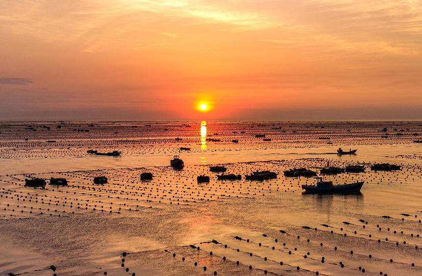 Abundant harvest celebrated at China's largest seaweed production base