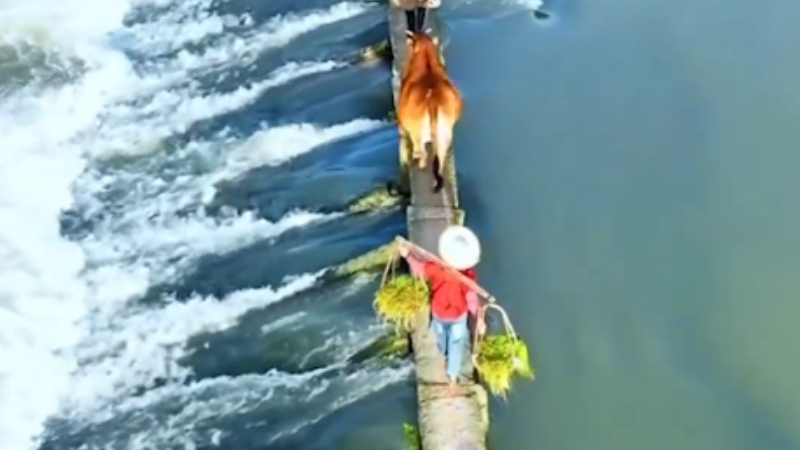 From ancient literature to modern TV: Quzhou Bridge