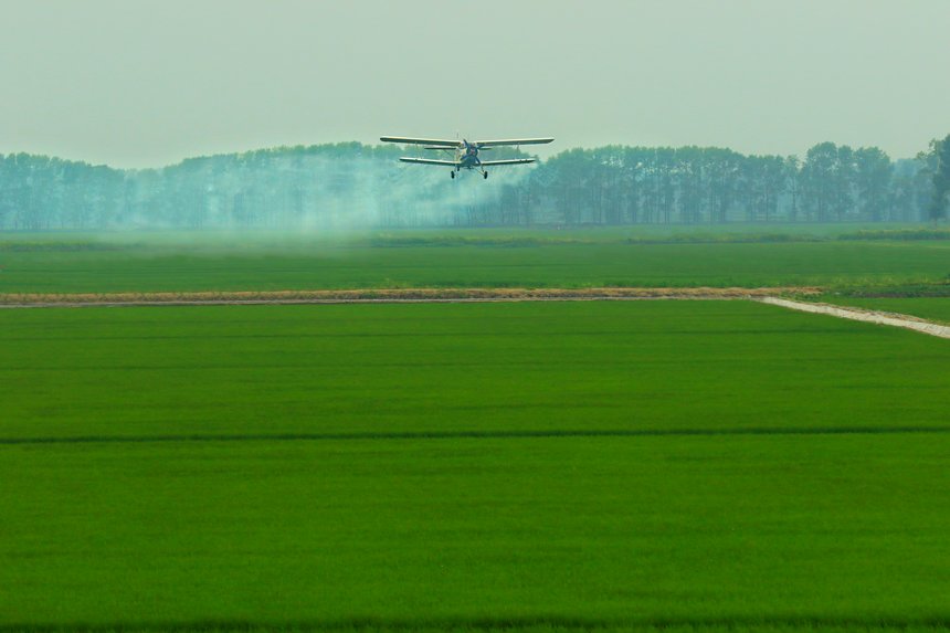 Splendid views of farmland in NE China's Heilongjiang