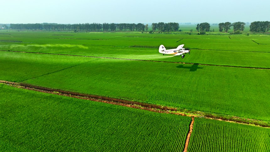 Splendid views of farmland in NE China's Heilongjiang