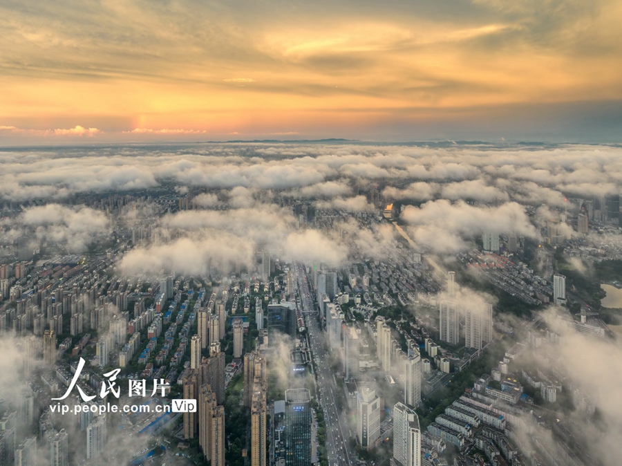 Stunning views of sea of clouds over Hefei, E China's Anhui