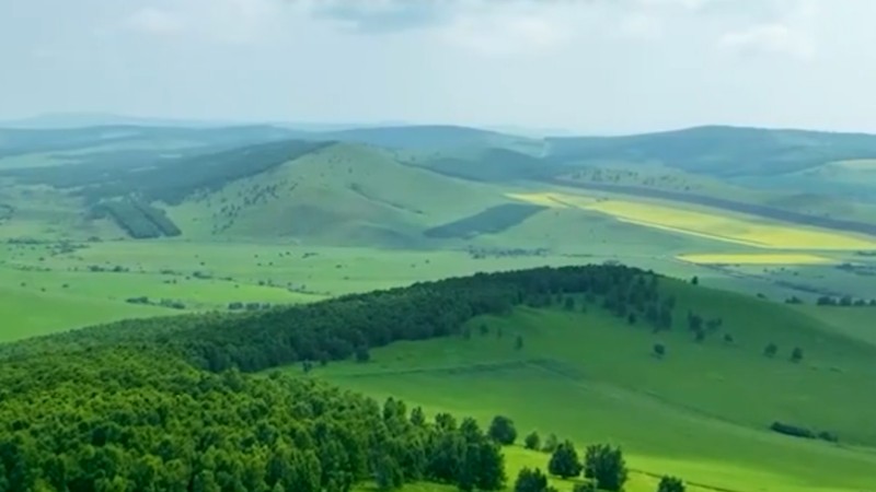 Summer grasslands of Hulun Buir