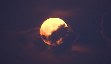 Plane silhouetted against supermoon