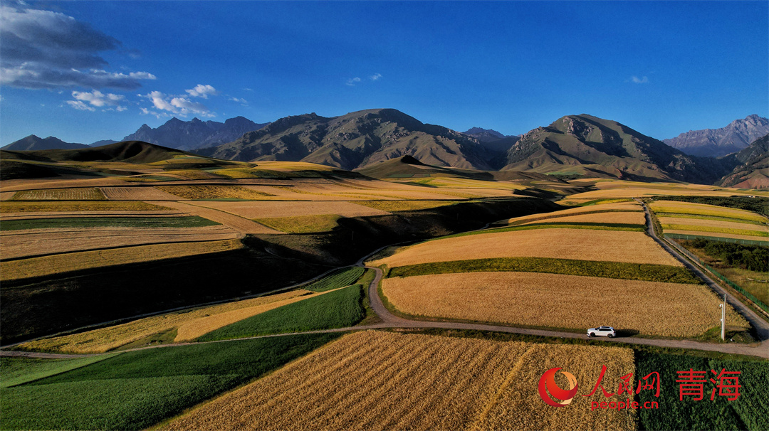 Picturesque autumn scenery at the foot of NW China's Qilian Mountains