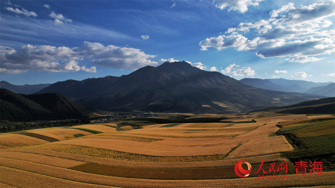 Picturesque autumn scenery at the foot of NW China's Qilian Mountains