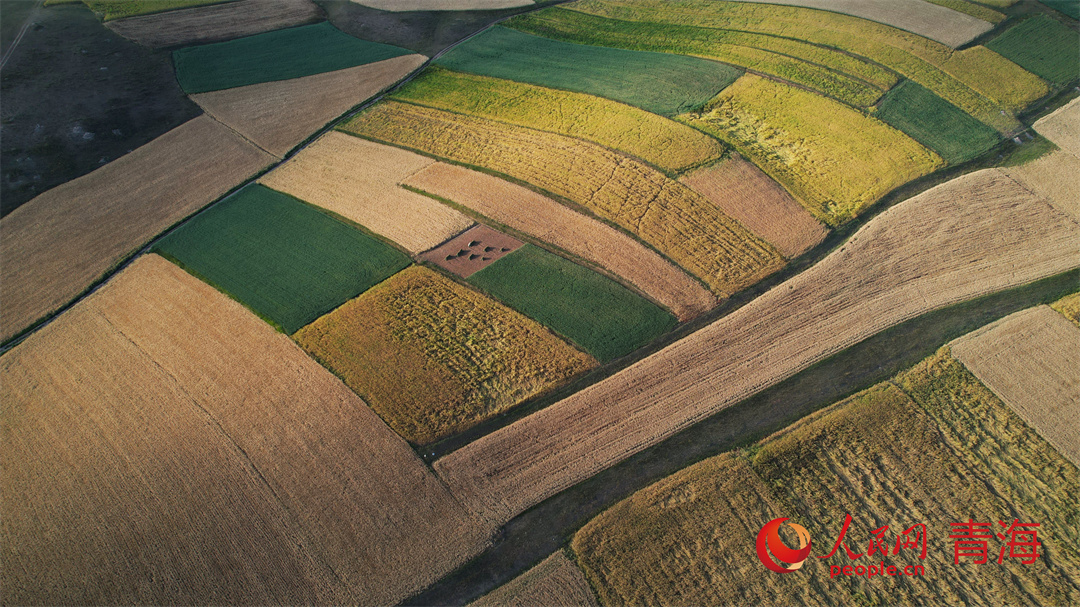 Picturesque autumn scenery at the foot of NW China's Qilian Mountains