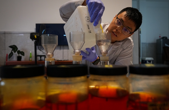 Xiamen University's young researchers explore seaweed's role in carbon capture