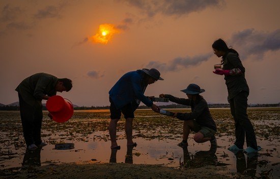 Xiamen University's young researchers explore seaweed's role in carbon capture