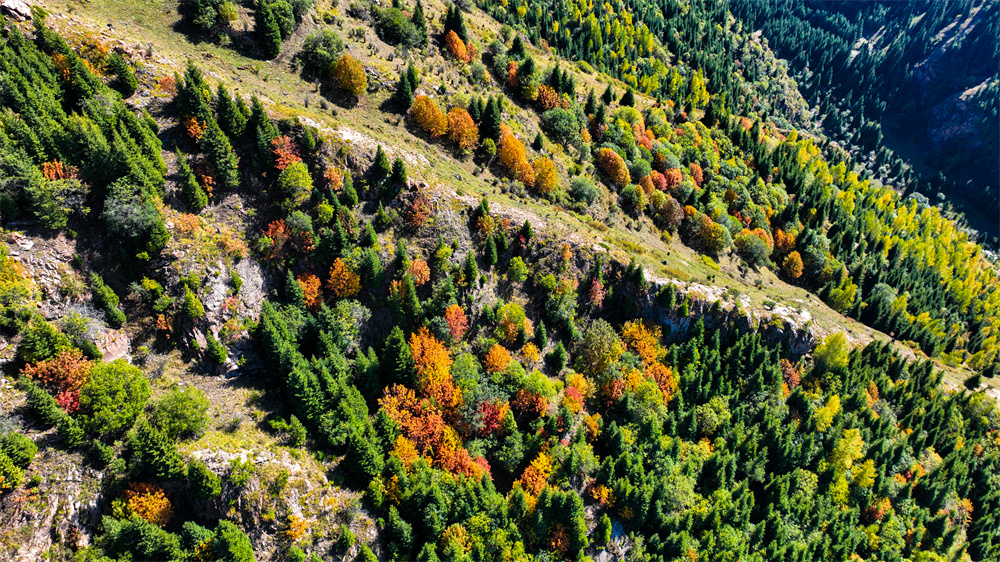 Breathtaking aerial views of Duolang Canyon in NW China's Xinjiang