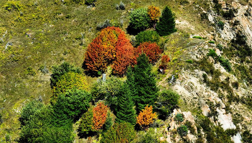 Breathtaking aerial views of Duolang Canyon in NW China's Xinjiang