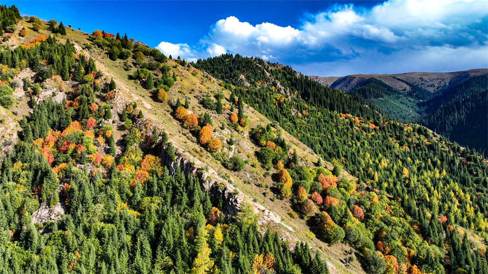 Breathtaking aerial views of Duolang Canyon in NW China's Xinjiang