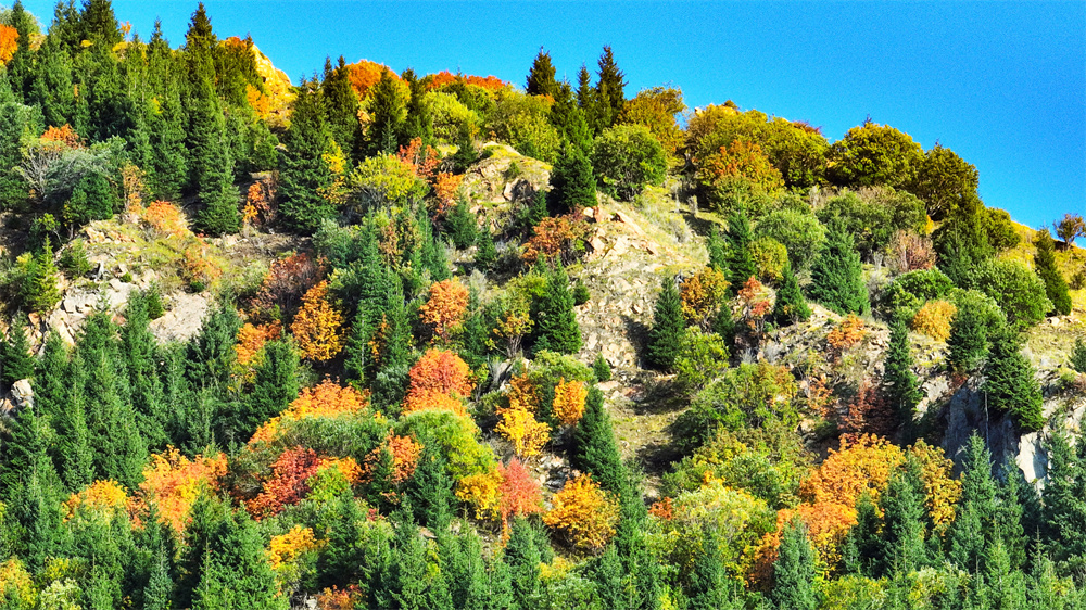 Breathtaking aerial views of Duolang Canyon in NW China's Xinjiang