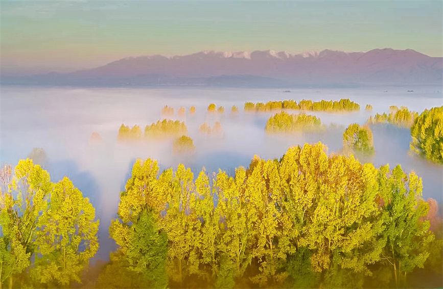 Morning mist transforms wetlands in Zhaosu, China's Xinjiang into 'Chinese ink wash painting'