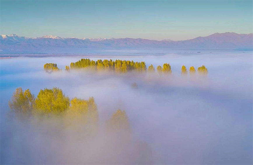 Morning mist transforms wetlands in Zhaosu, China's Xinjiang into 'Chinese ink wash painting'