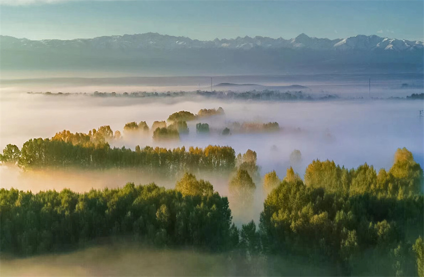 Morning mist transforms wetlands in Zhaosu, China's Xinjiang into 'Chinese ink wash painting'