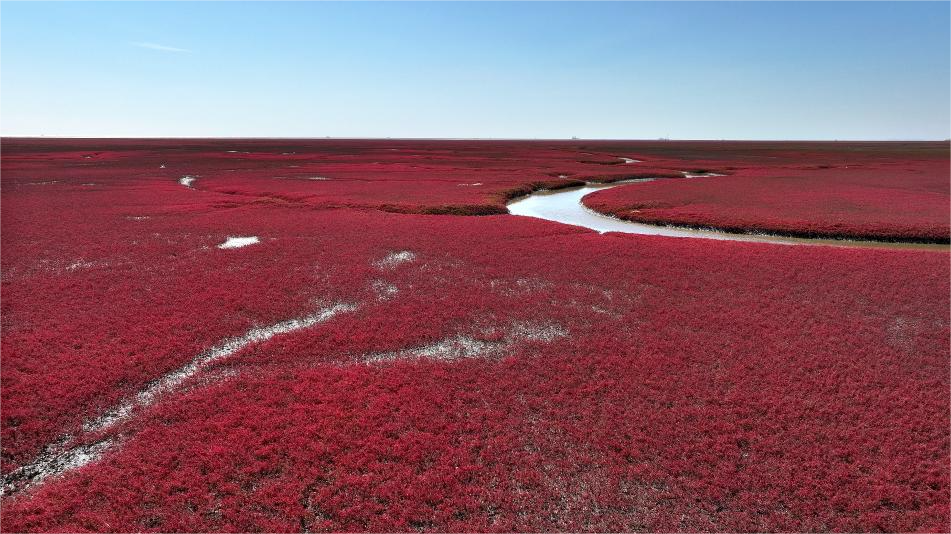 The breathtaking beauty of Honghaitan Red Beach