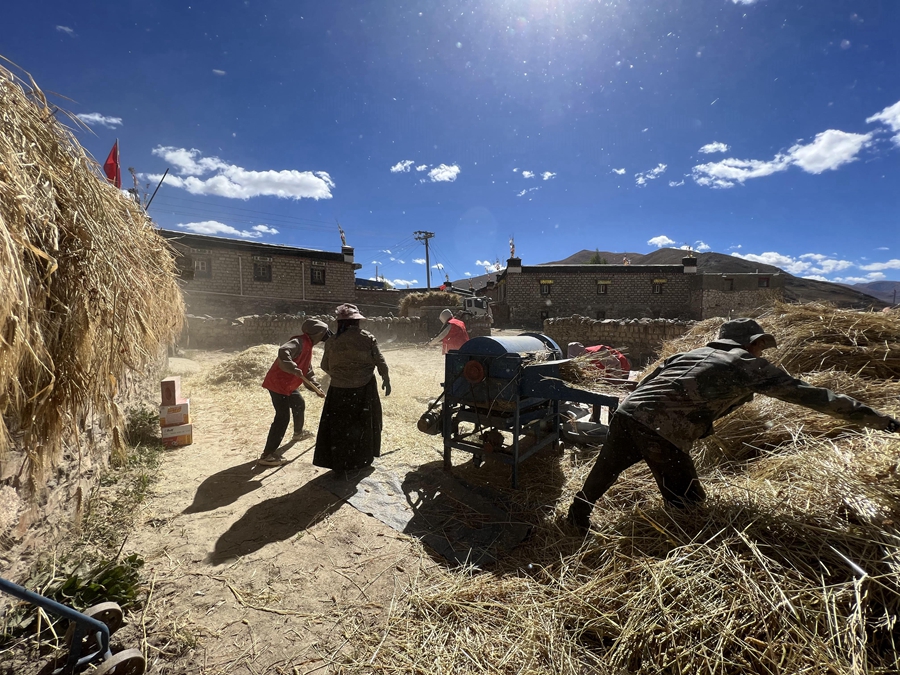 Scenes of bountiful autumn harvests across China