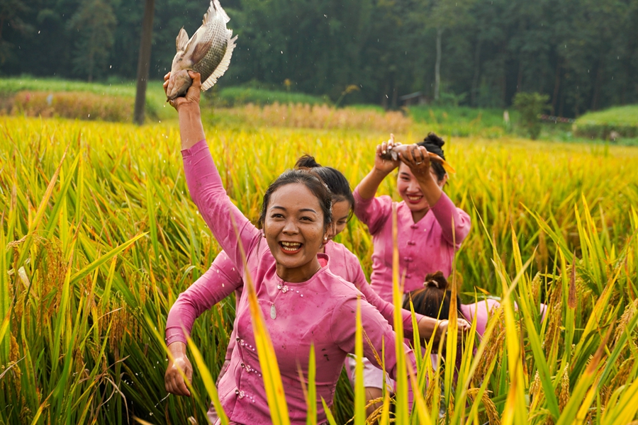 Scenes of bountiful autumn harvests across China