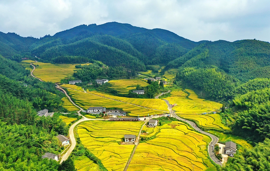 Scenes of bountiful autumn harvests across China