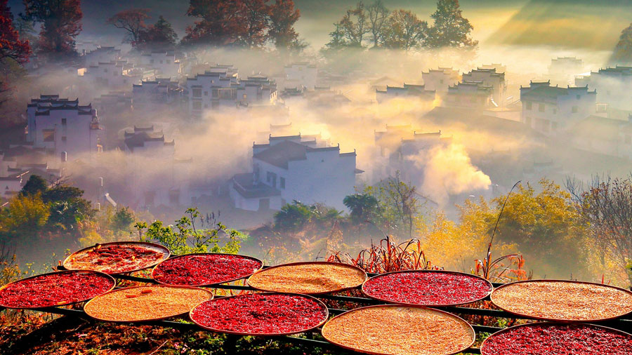 Scenes of bountiful autumn harvests across China