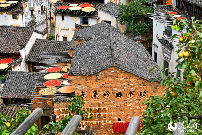 Villagers sun-dry crops in Wuyuan, E China's Jiangxi