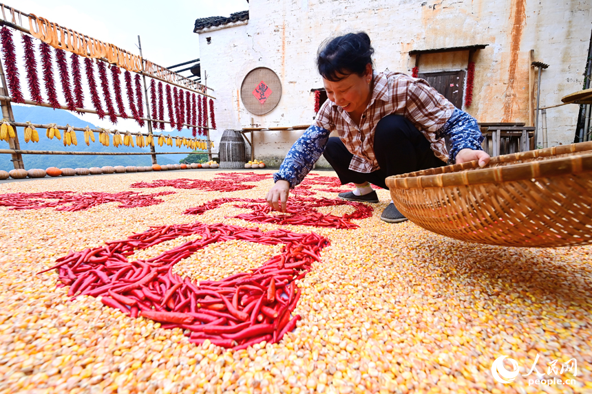 Villagers sun-dry crops in Wuyuan, E China's Jiangxi