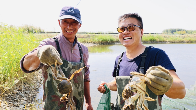 In pics: Autumn harvests across China