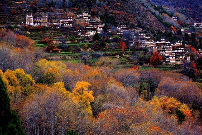 A glimpse of 2023 China Sichuan Danba Jiarong Tibetan Folk Festival