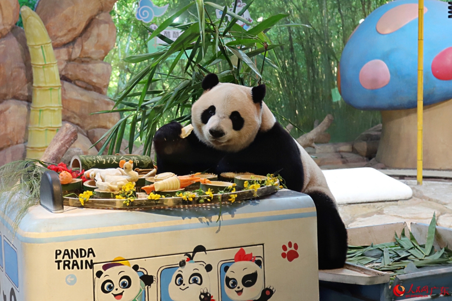 Giant panda enjoys delightful 