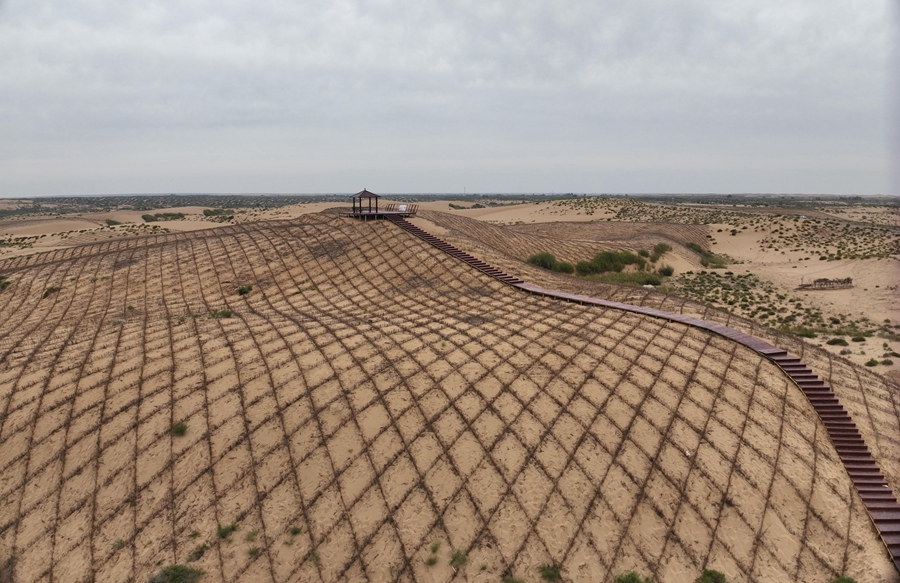 Wushen banner in N China's Inner Mongolia turns Maowusu Desert green through continuous, targeted efforts