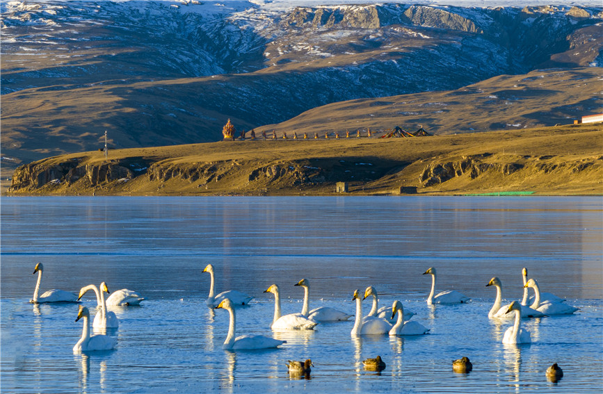 In pics: Qinghai Lake in winter offers a stunning view