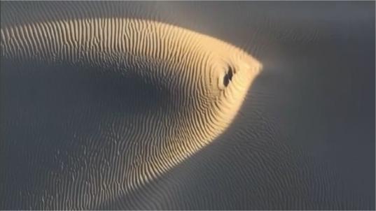 Fish-like patterns emerge in desert's sunlight