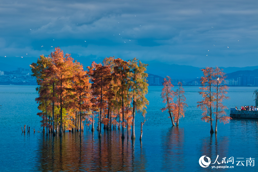 Beautiful scenery of Erhai Lake in Dali, SW China's Yunnan