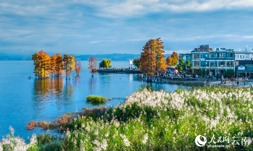 Beautiful scenery of Erhai Lake in Dali, SW China's Yunnan