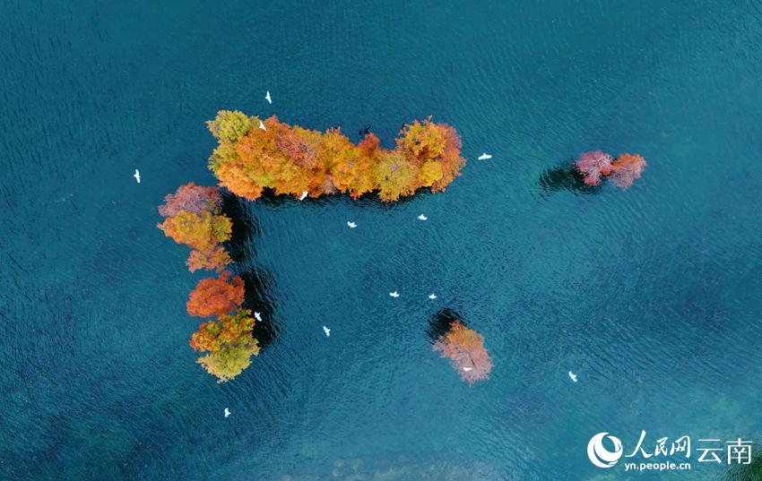 Beautiful scenery of Erhai Lake in Dali, SW China's Yunnan