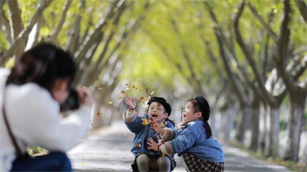 A security guard sprinkles fallen leaves from a height to weave a beautiful childhood memory for children