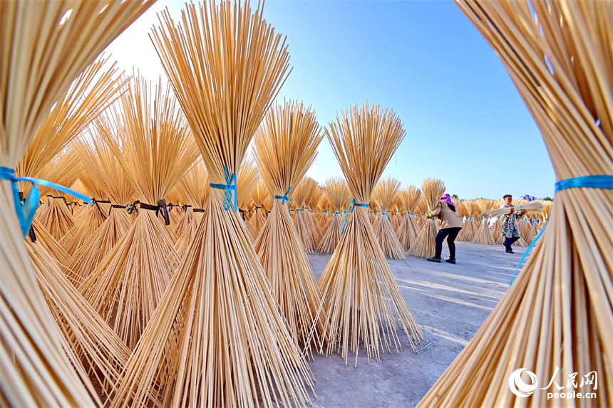 Bamboo industry thrives in Guangchang county, China's Jiangxi