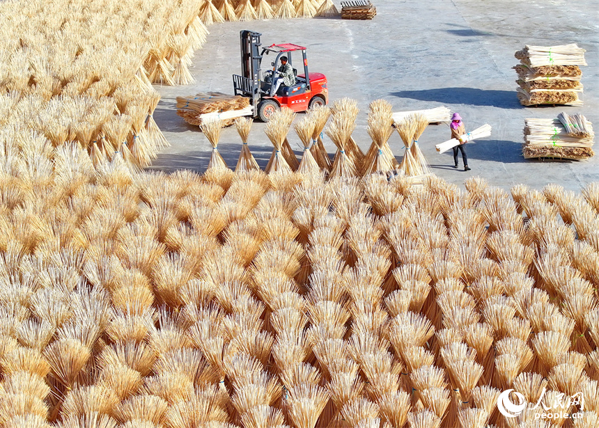 Bamboo industry thrives in Guangchang county, China's Jiangxi