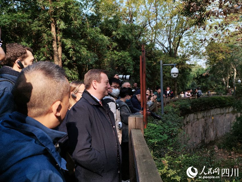 Ambassador: French people love giant panda Yuan Meng very much