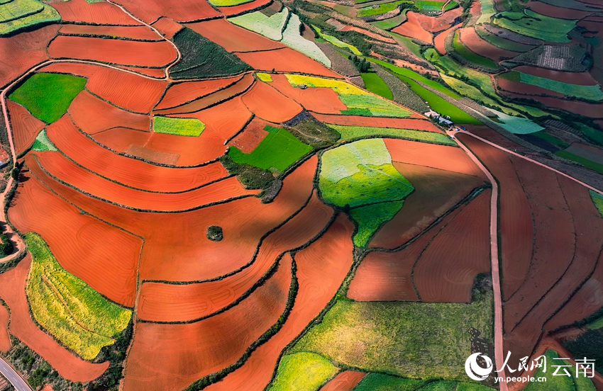 In pics: Colorful terraced fields in SW China's Yunnan resemble palette